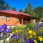 санаторій будиночок оренда