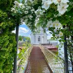 E3734F80-4153-4316-B1BA-52E91CD969BC