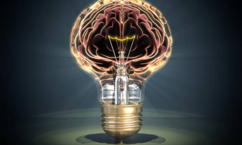 A translucent light bulb showcases a glowing brain inside, representing the fusion of intellect and creativity. The captivating design emphasizes innovative thinking.